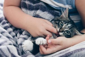 little girl holding kitten