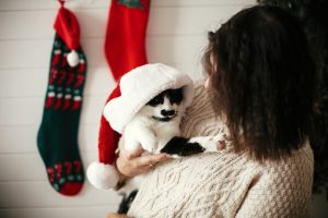 woman holding a kitten wearing a santa hat